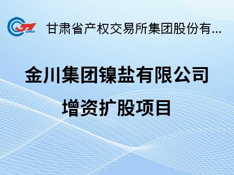 金川集团镍盐有限公司增资扩股项目
