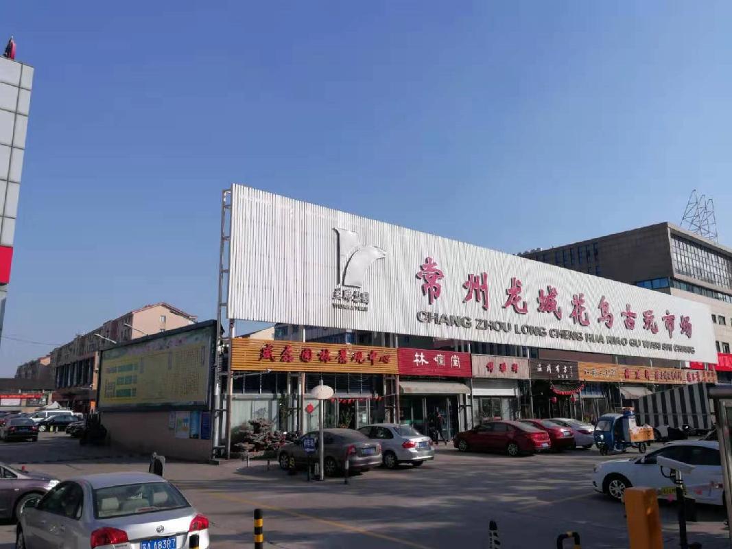 常州益联龙城花鸟古玩市场西区-A-211号商铺招租公告