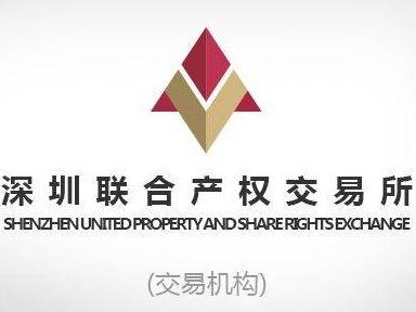 紫金县金安水资源发展有限公司51%股权(三次挂牌)