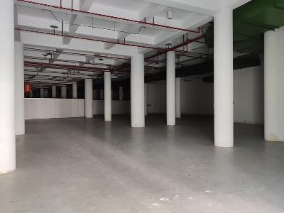 常州市新北区奥体中心会展仓库部分区域招租公告招租公告