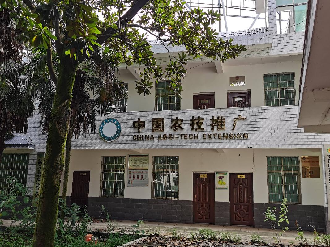 郴州市苏仙区原马头岭乡政府院内的房产及土地出租