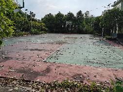 (第四次）郴州市苏仙区原马头岭乡政府院内的房产及土地出租