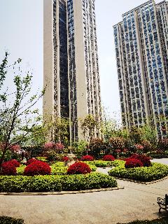 贵州省遵义市新蒲新区3号路实地.蔷薇国际一期2栋9-3号住房转让公告