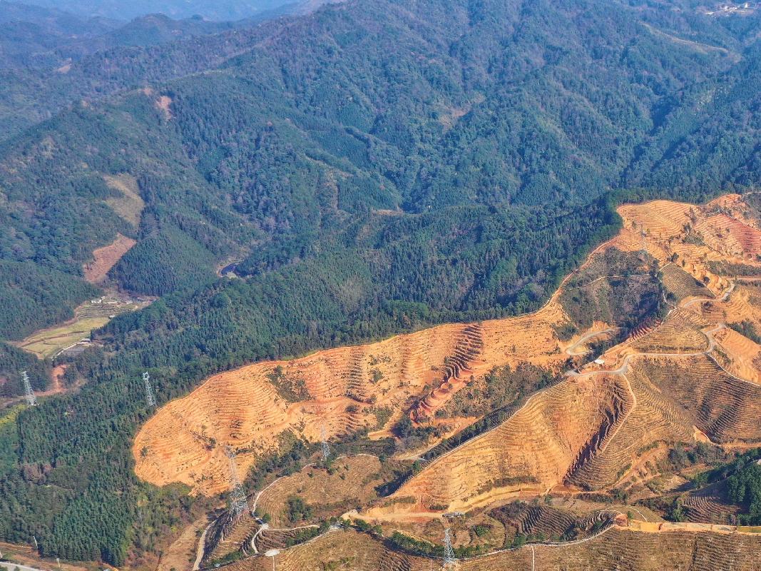 柳州市三江侗族自治县古宜镇泗联村约19.62亩林地承包经营权流转项目