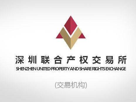 国能织金发电有限公司49%股权(国资监测编号G32021SZ1000048)