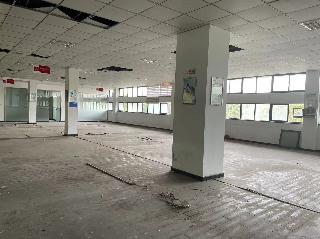 凤翔路1号3幢厂房转让公告