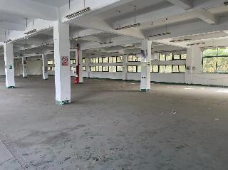 凤翔路1号3幢厂房转让公告