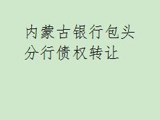 内蒙古银行股份有限公司包头分行持有的达拉特旗鸿泰煤炭经销有限责任公司不良债权转让