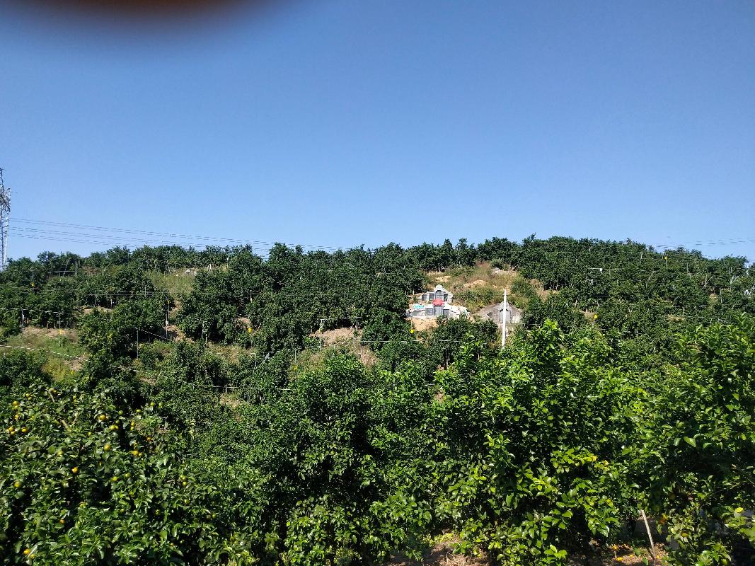 桂林荔浦市大塘镇富德村54亩土地承包经营权流转项目