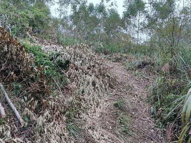 桂林荔浦市马岭镇大地村61.7亩土地承包经营权流转项目