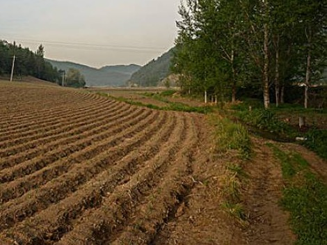 柳州市融水县同练乡英洞村1.91亩土地承包经营权流转项目