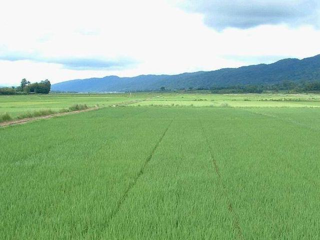 柳州市融水县同练乡英洞村0.89亩土地承包经营权流转项目