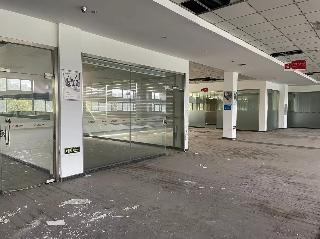 凤翔路1号3幢厂房招租公告