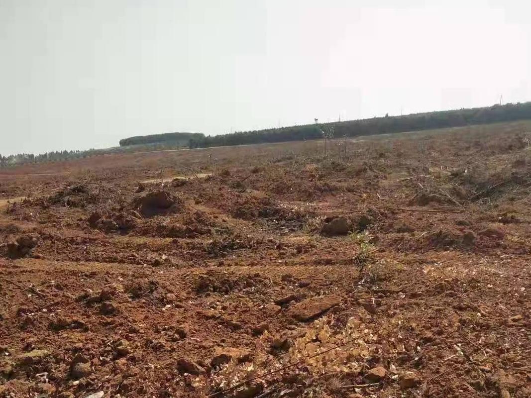 北海市银海区福成镇福成村2亩土地承包经营权流转项目