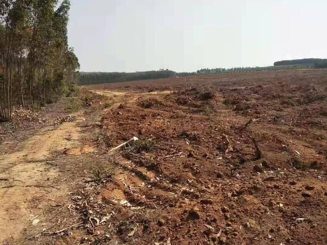 北海市银海区福成镇福成村3.08亩土地承包经营权流转项目