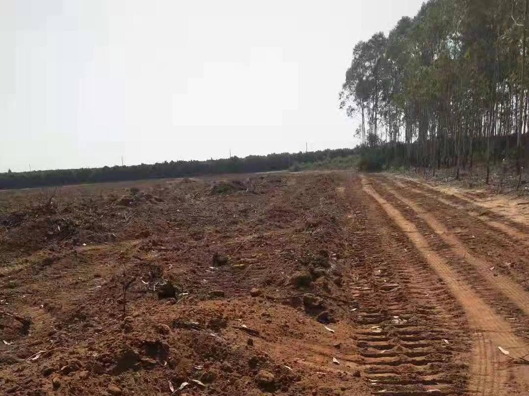 北海市银海区福成镇福成村3亩土地承包经营权流转项目