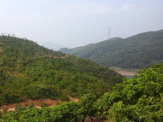 防城港市港口区光坡镇栏冲村5亩土地承包经营权流转项目