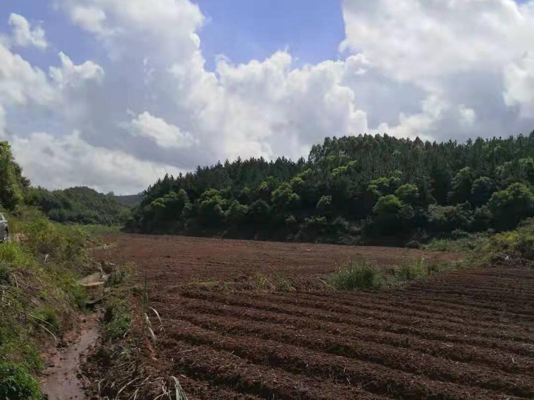 钦州市灵山县平南镇金银村2.28亩土地承包经营权流转项目