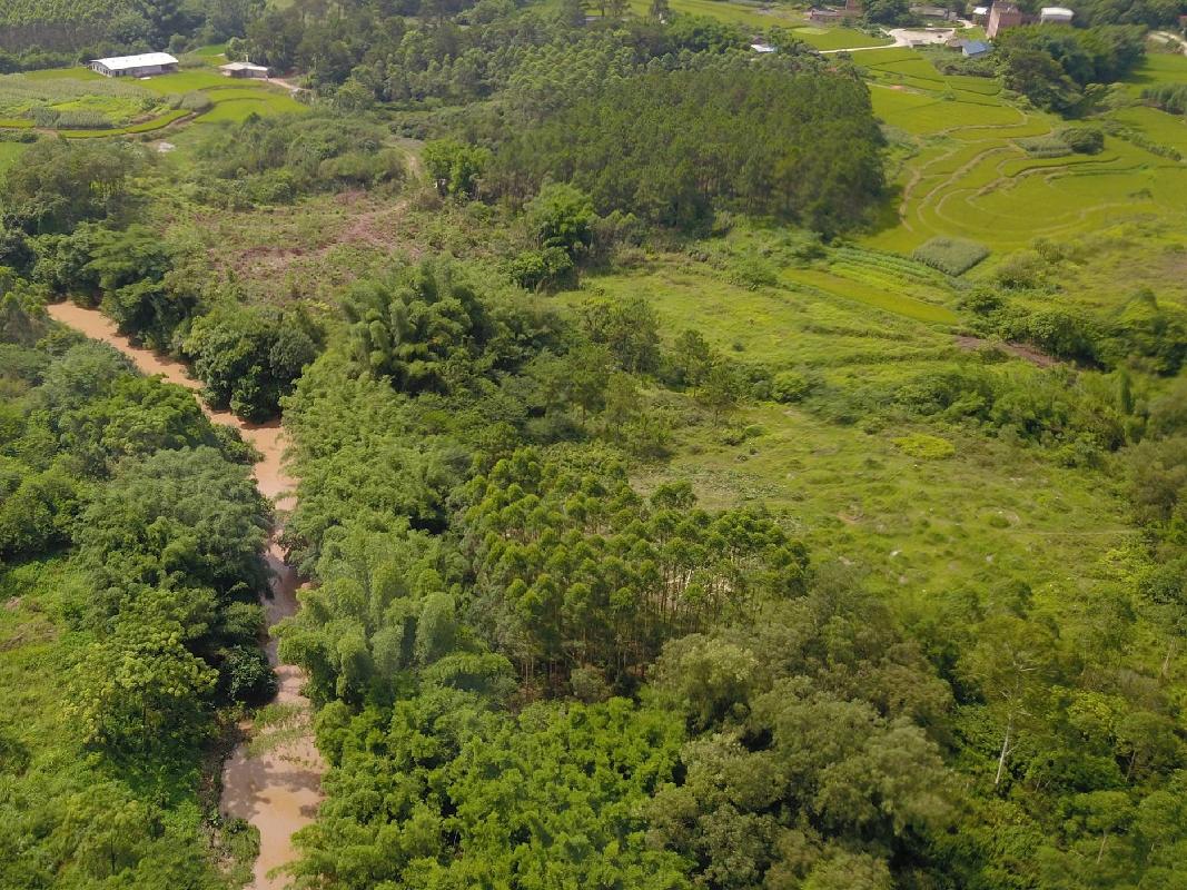 柳州市柳南区洛满镇凤山村250亩土地承包经营权流转项目