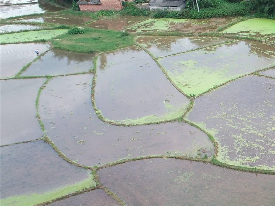 桂林市全州县绍水镇塘口村7.02亩土地承包经营权流转项目