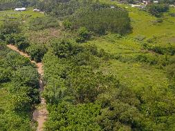 柳州市柳南区洛满镇凤山村250亩土地承包经营权流转项目