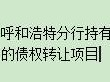 内蒙古银行股份有限公司呼和浩特分行持有的29户532,155,418.47元不良债权转让项目公告