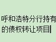 内蒙古银行股份有限公司呼和浩特分行持有的18户33785.953934万元不良资产转让项目公告