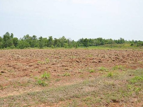 柳州市鱼峰区白沙镇王眉村3.83亩土地承包经营权流转项目