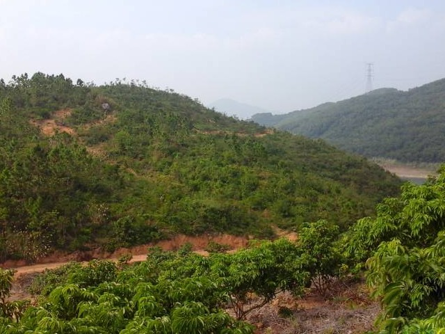 柳州市鱼峰区里雍镇龙团村2.46亩土地承包经营权流转项目