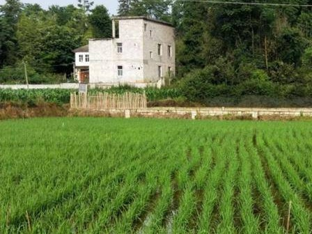 柳州市柳南区流山镇流山村0.57亩土地承包经营权流转项目