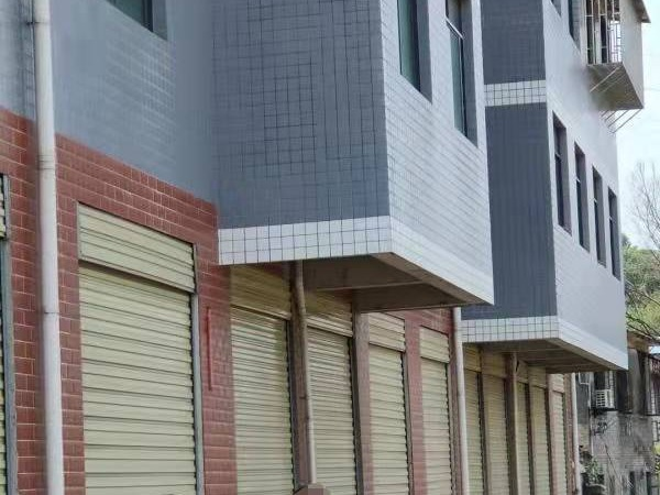 资兴市矿工南路鲤矿家园4栋1层-2层房产整体出租