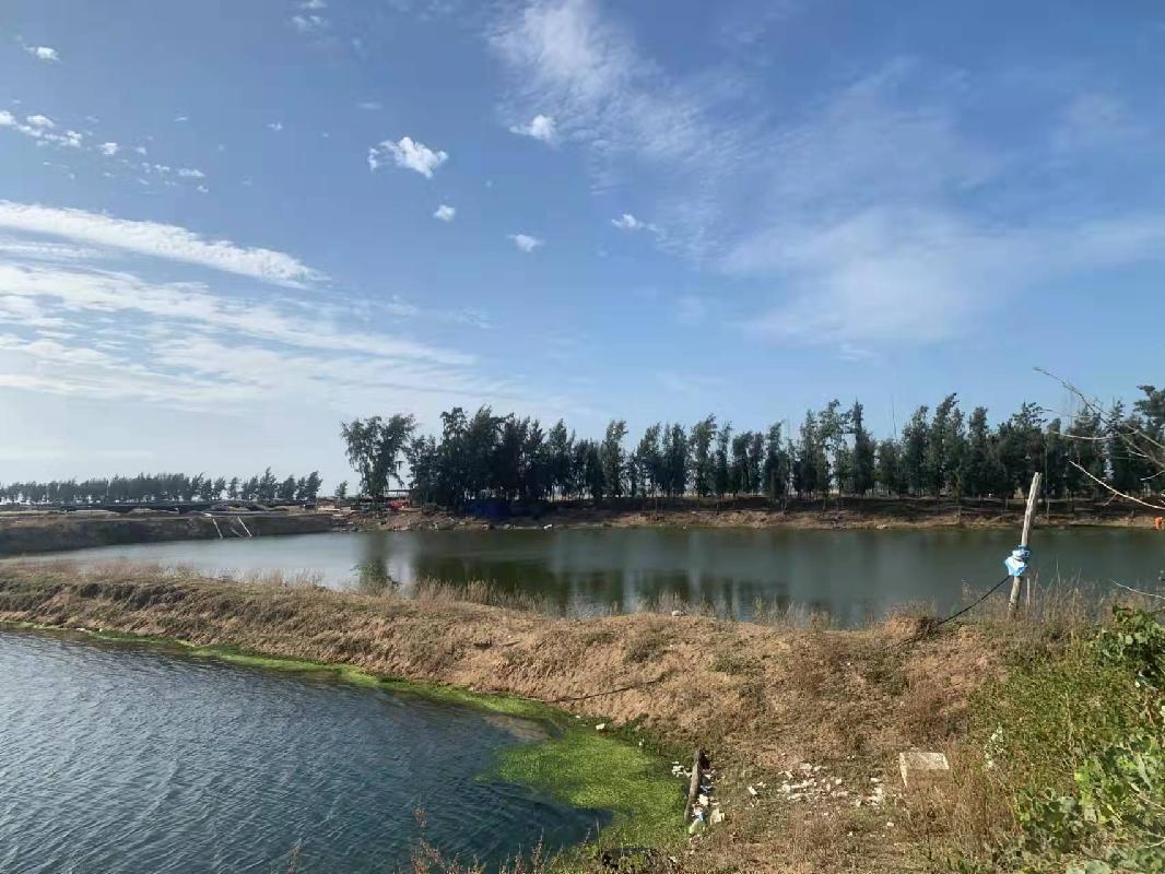 乐东县利国镇望楼港海南银基国际旅游度假区一期项目在建工程公开挂牌转让