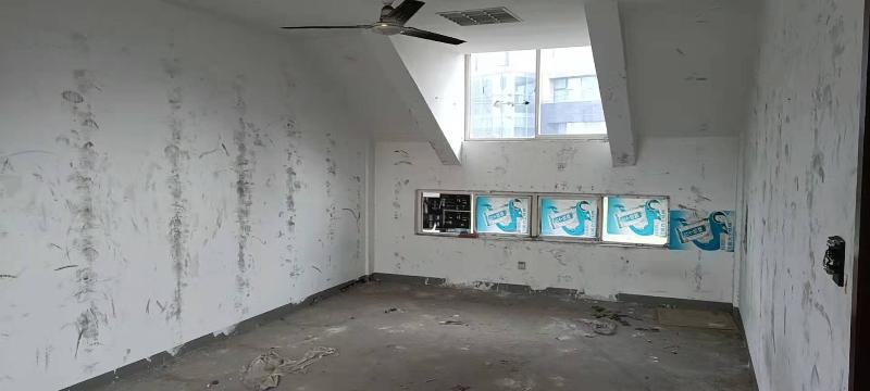 龙锦路沿街房屋租赁招租公告
