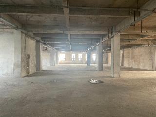 长兴集团淹城商业街转让公告