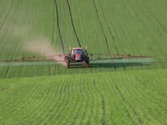 标215，总计48亩，350元/亩，东方红农牧场，位置：四队，