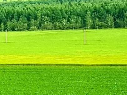 甘河农牧场十六队3标段37亩2块地（GH16-0003）