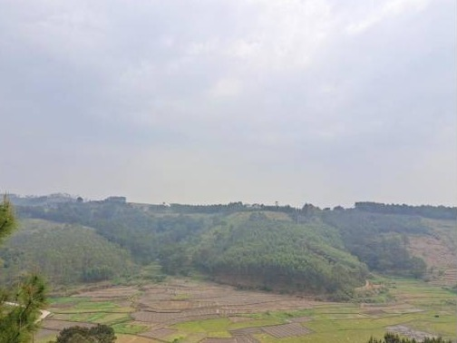 贵港市桂平市社坡镇清高村1200亩土地承包经营权流转项目
