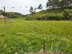 贵港市桂平市南木镇高塘村案上屯、王善冲屯80亩土地承包经营权流转项目