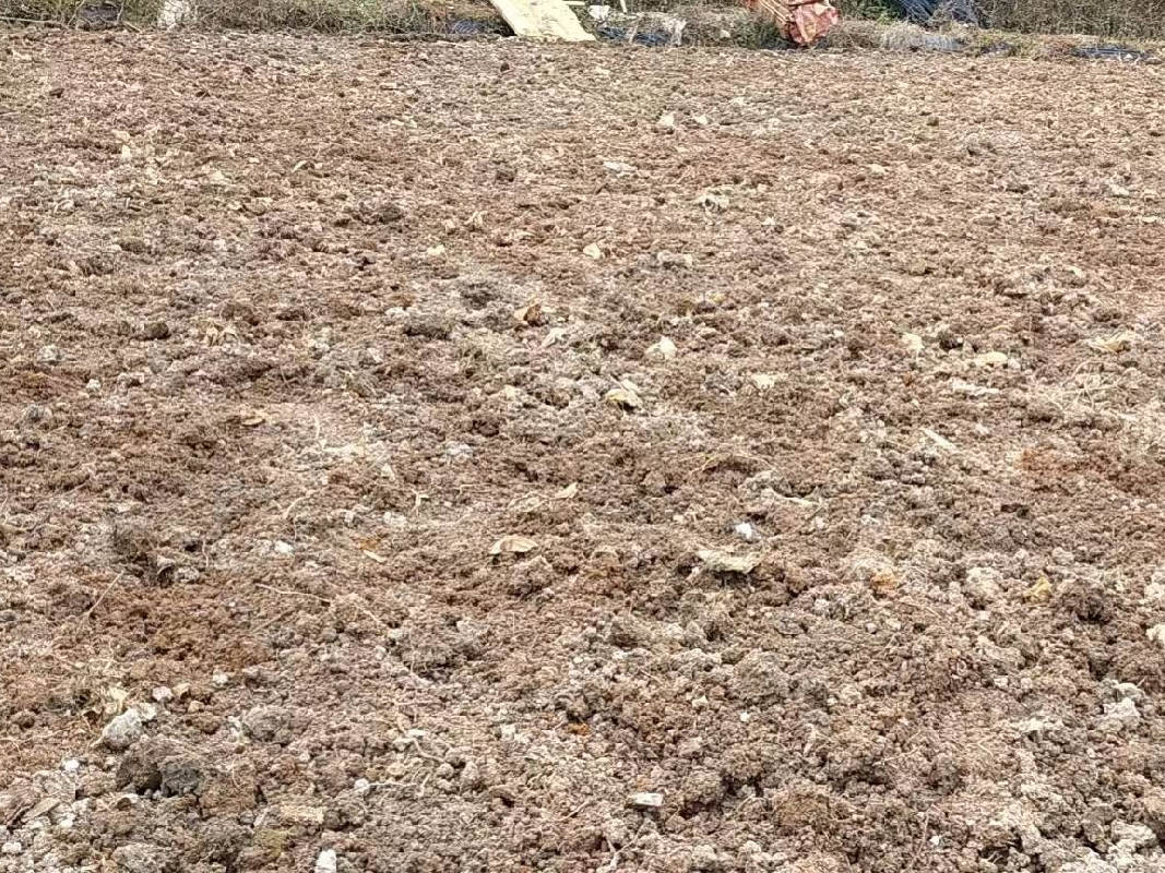 桂林荔浦市花篢镇大同村0.88亩土地承包经营权流转项目