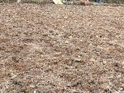 桂林荔浦市花篢镇大同村0.88亩土地承包经营权流转项目