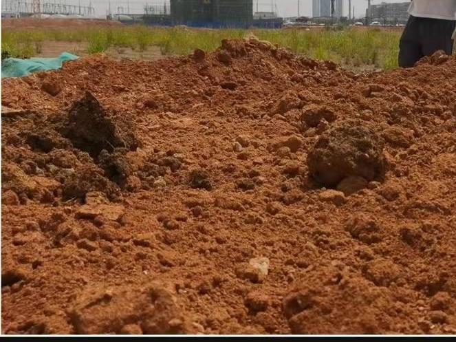 梧州市长洲区龙新村17192.19立方米有机沃土出售项目