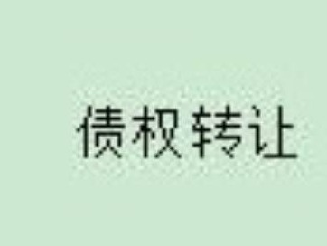 内蒙古银行股份有限公司通辽分行持有的霍林郭勒市鑫鑫粉煤灰制品有限公司257.821484万元债权询价项目
