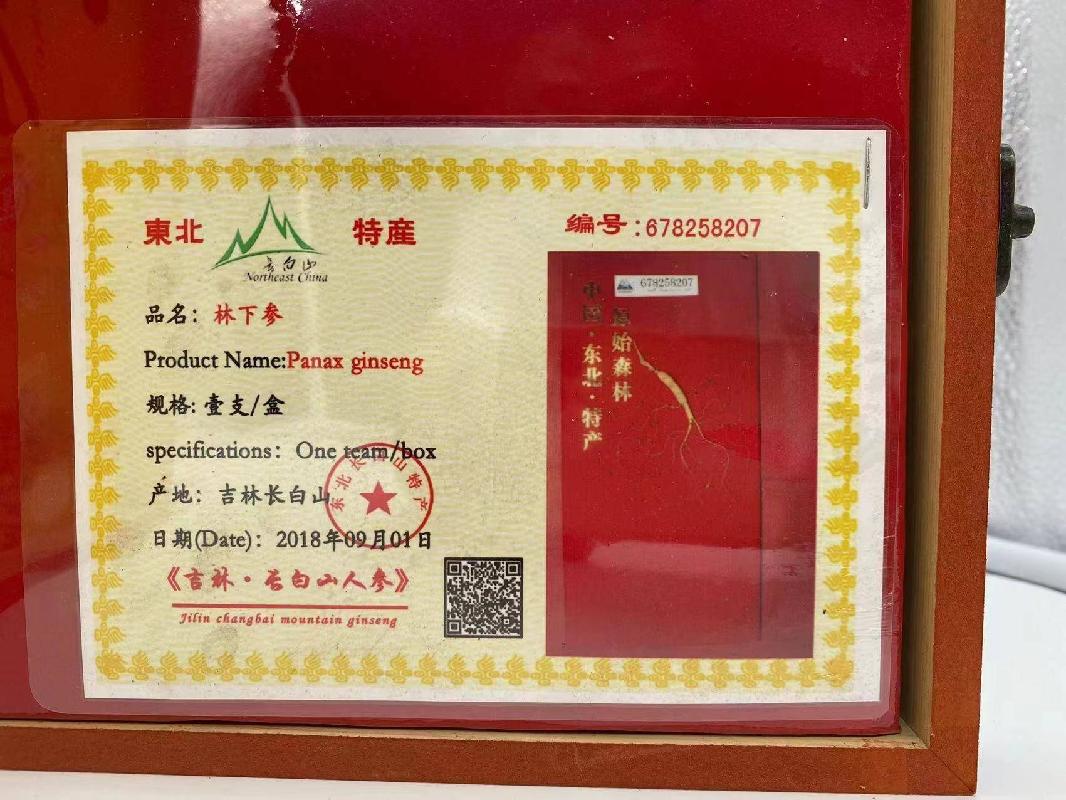 【公益拍卖】东北特产人参，两盒山参加三盒林下参 参型各异  5盒