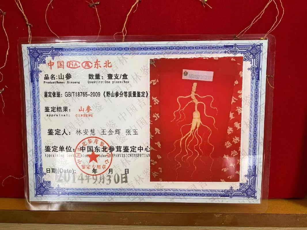 【公益拍卖】东北特产人参，两盒山参加三盒林下参 参型各异  5盒