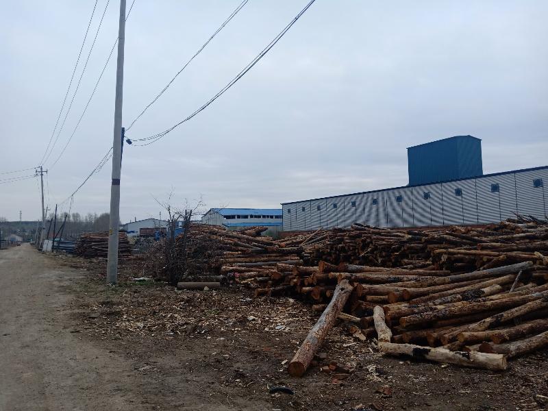 内蒙古大杨树林业有限责任公司原物资科油库场地（内含建筑）出租招租公告