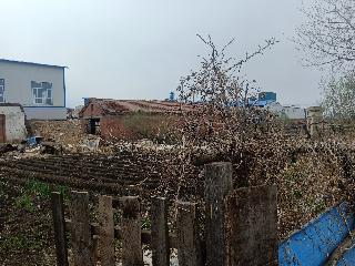 内蒙古大杨树林业有限责任公司原物资科油库场地（内含建筑）出租招租公告