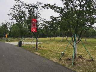 江苏省常州市新北区春江街道北海中路188号新龙生态林核心区帐篷下午茶项目招租公告