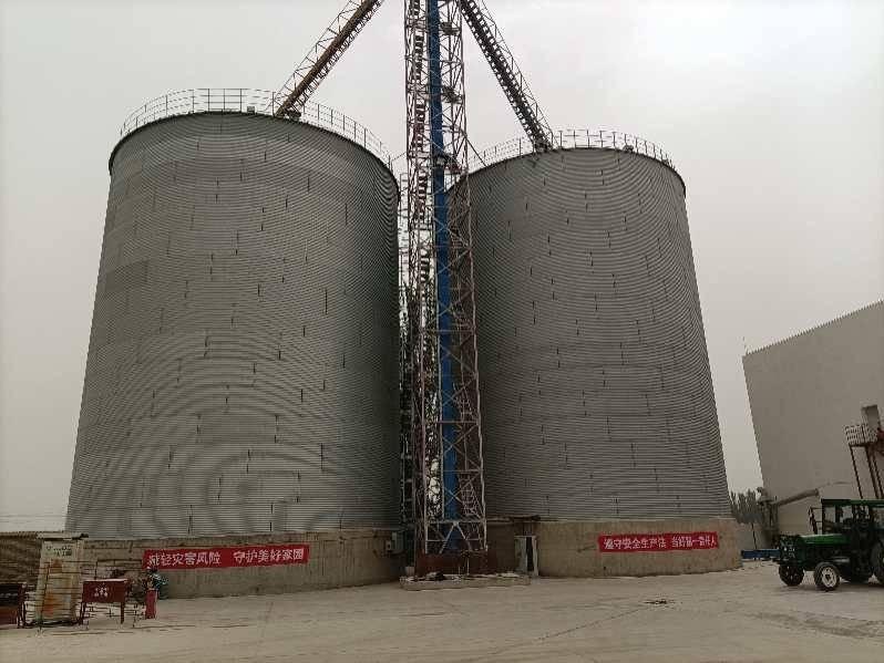 新疆科奇食品有限公司租赁所属2座圆筒仓及附属设备、晒场地坪使用权