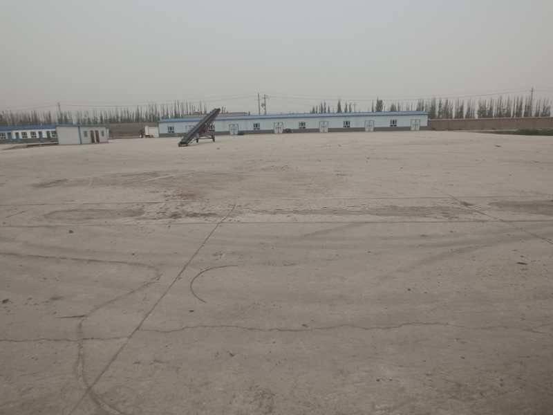 新疆科奇食品有限公司租赁所属2座圆筒仓及附属设备、晒场地坪使用权