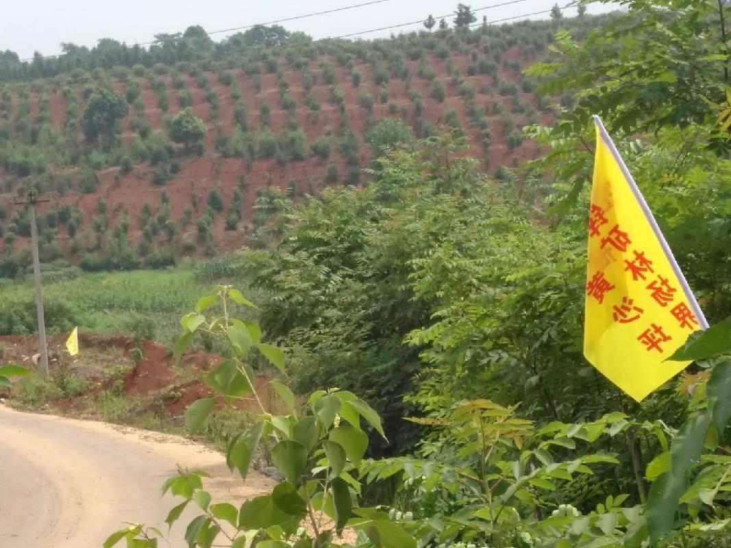 （第五次）黄沙坪矿职工农场1860亩林地使用权转让